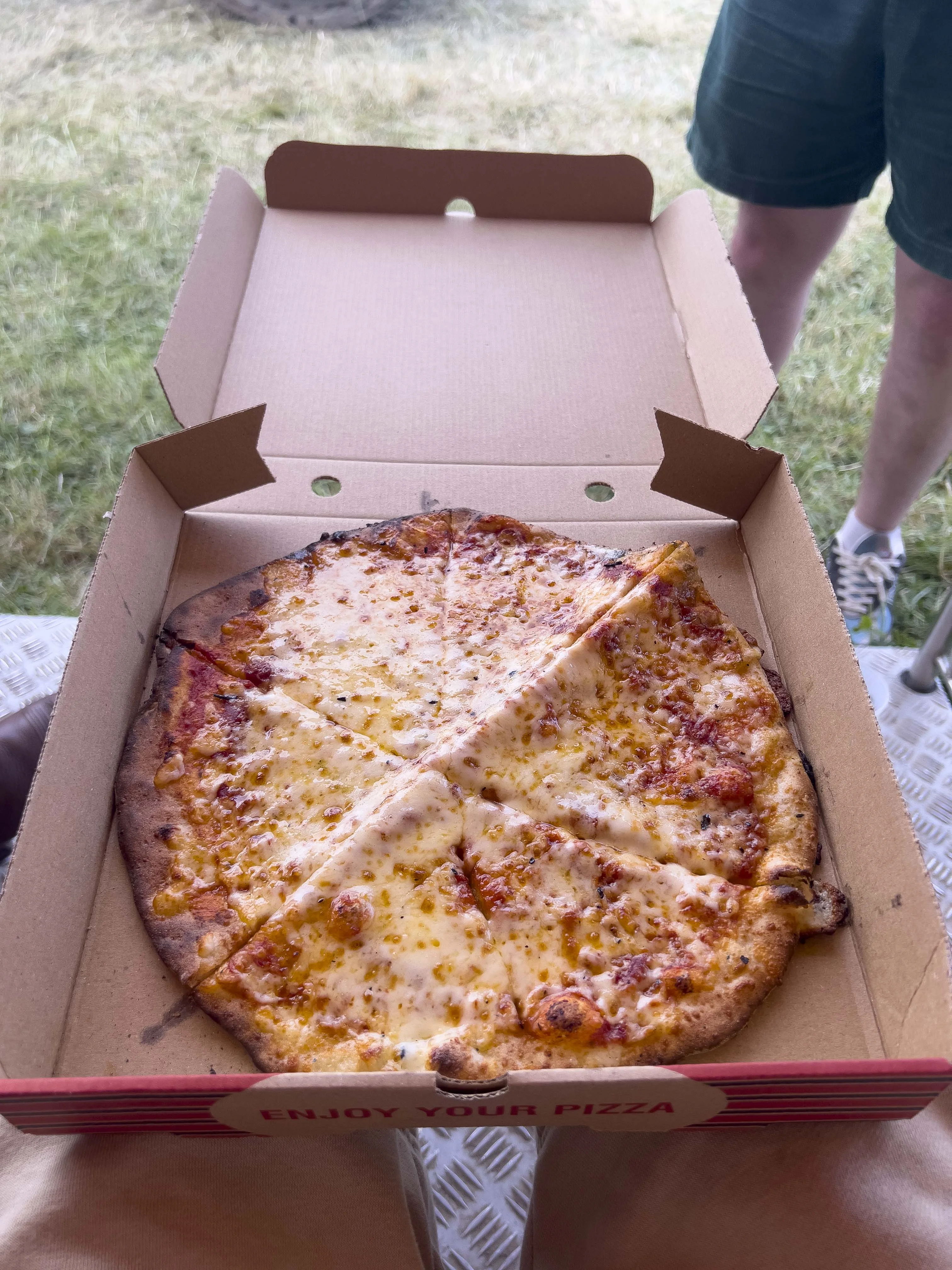 A yummy cheese pizza