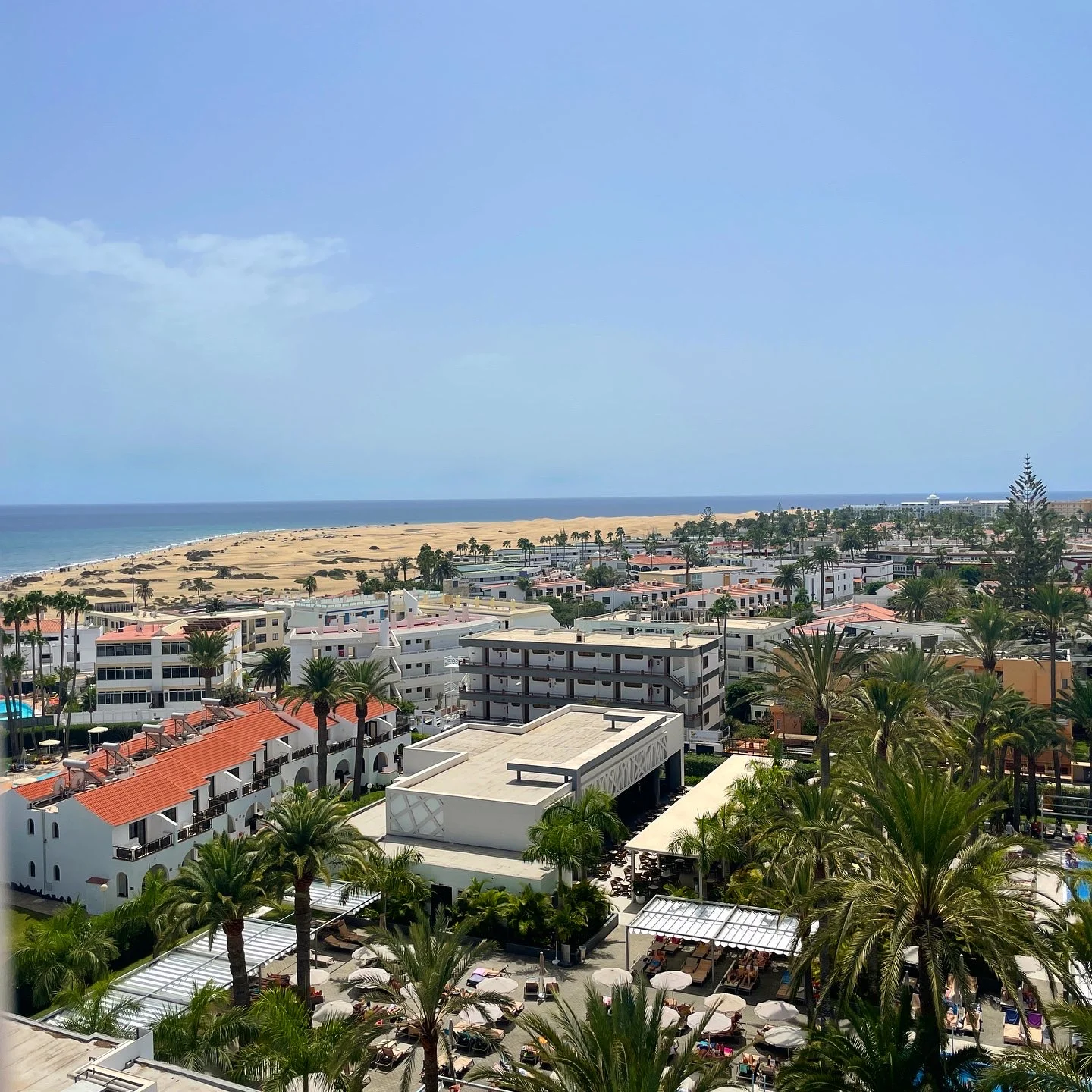 Hotel Riu Palace Palmeras exterior and palms
