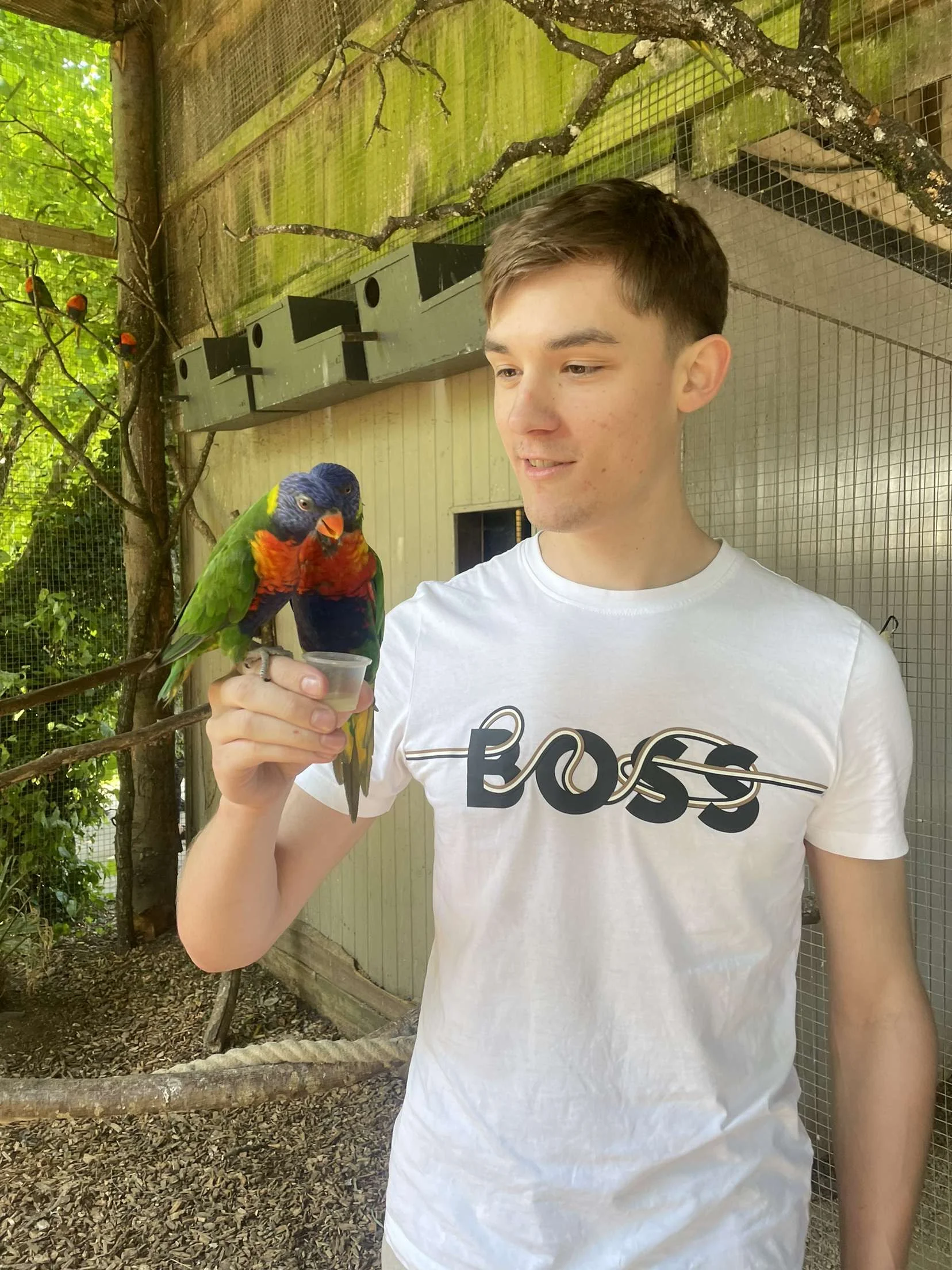 Enjoying Longleat's adventures