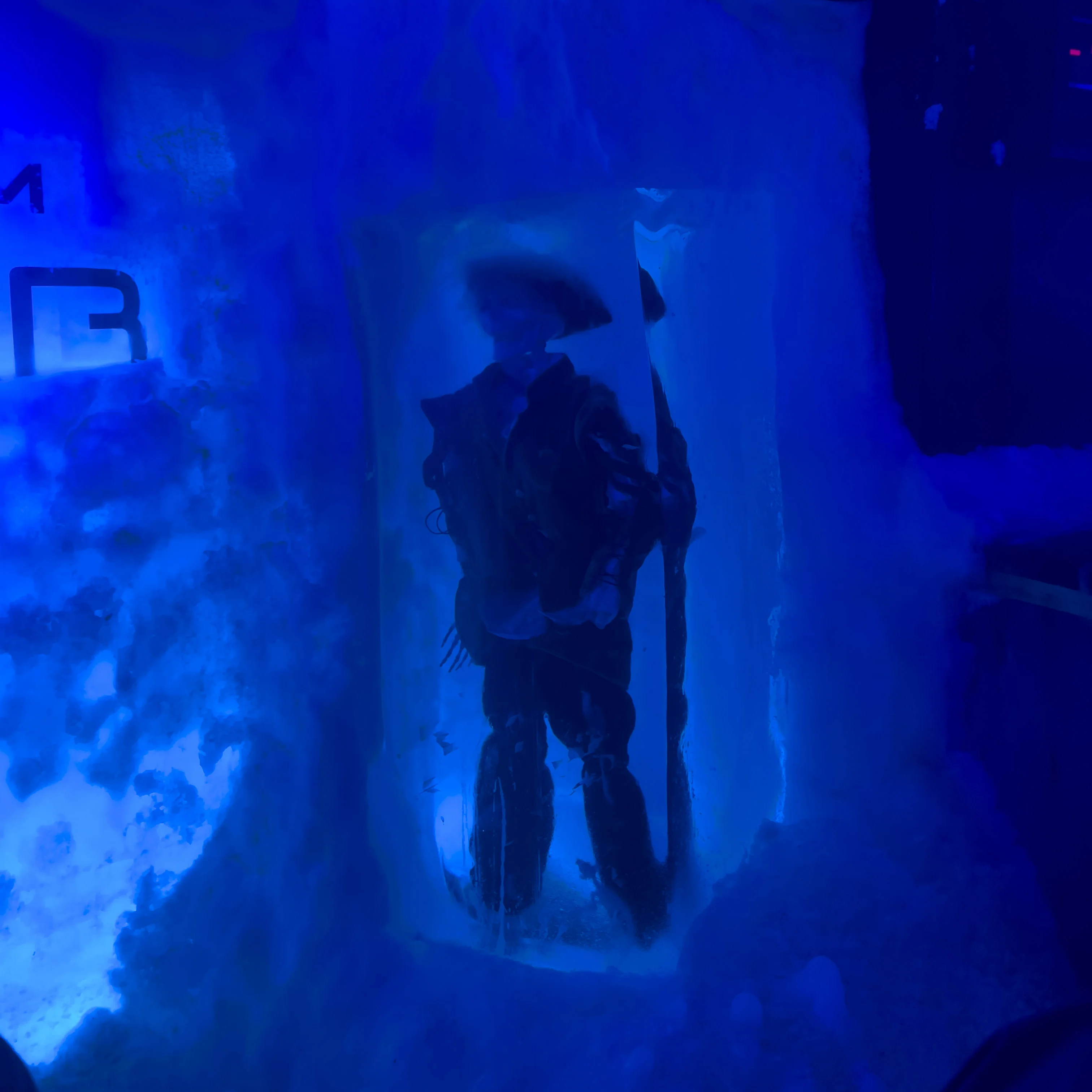 Frozen skeletons inside the Icebar